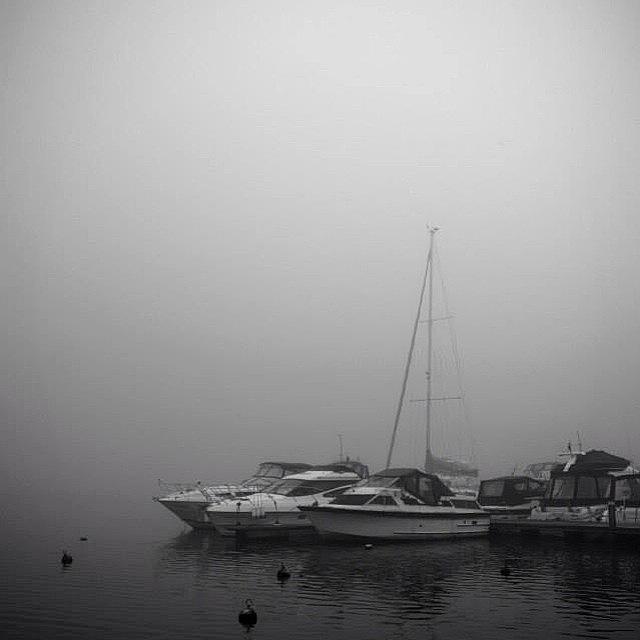 Boat Photograph - Foggy Broads #boats #fog #broads by Denise Brady