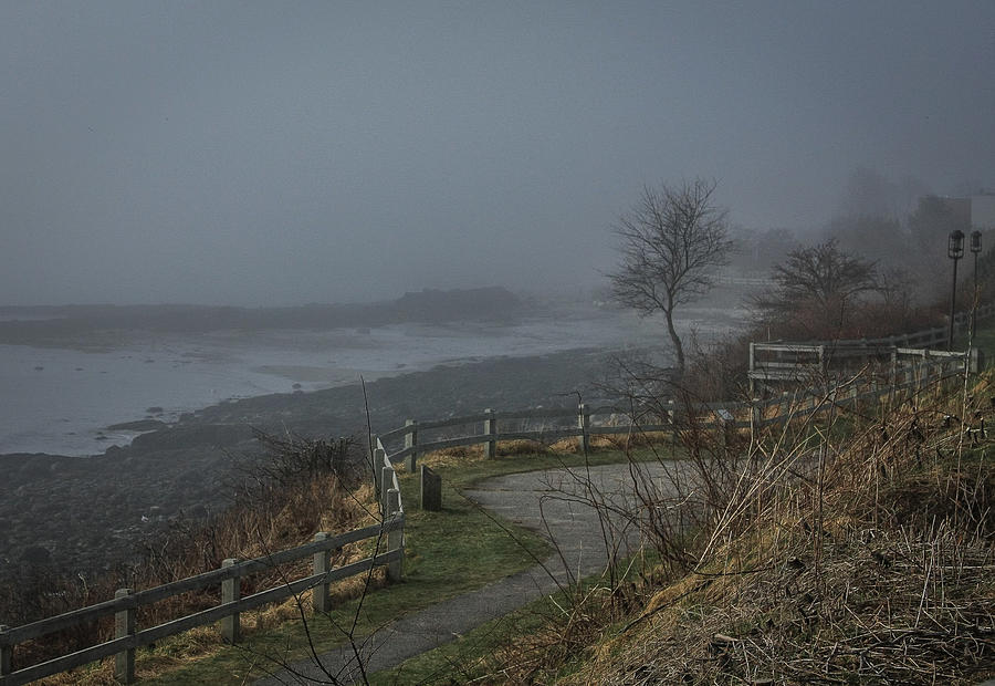 Foggy coast Photograph by Jane Luxton