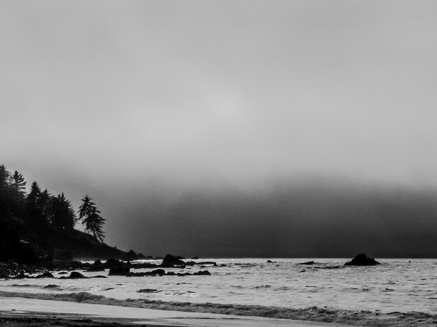 Foggy Coast Photograph by Jim DeLillo