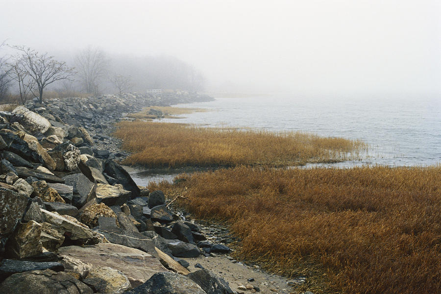 Foggy Coastal Salt Marsh Photograph by John W. Bova