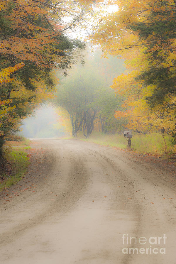 Foggy country road in the morning. Photograph by Don Landwehrle