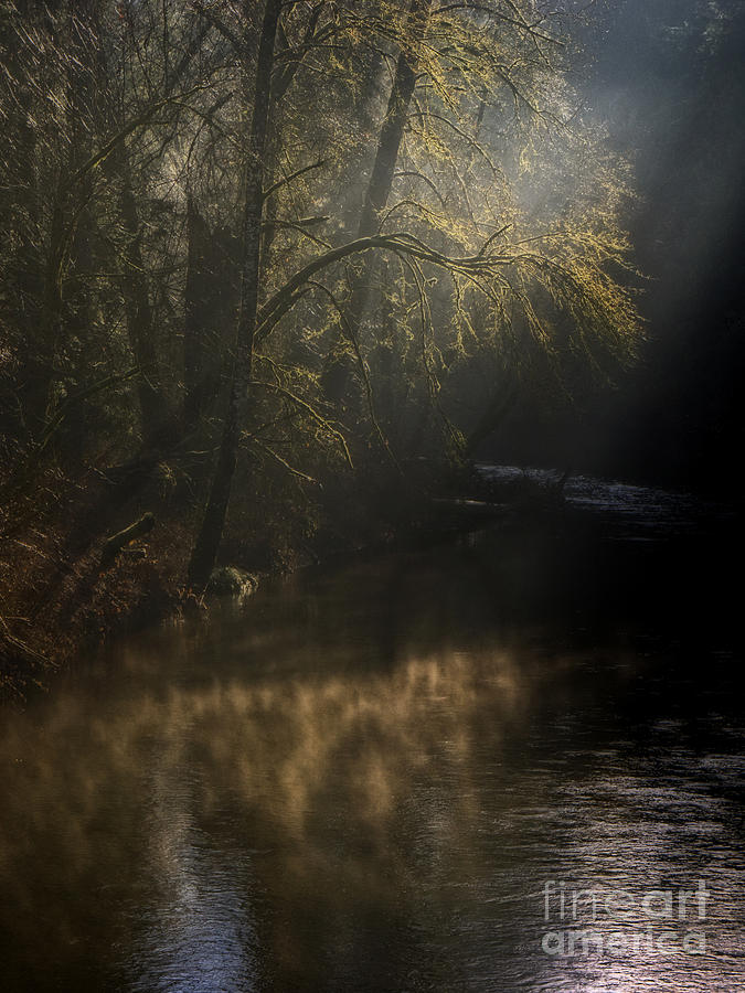 Foggy Creek Photograph by Inge Riis McDonald