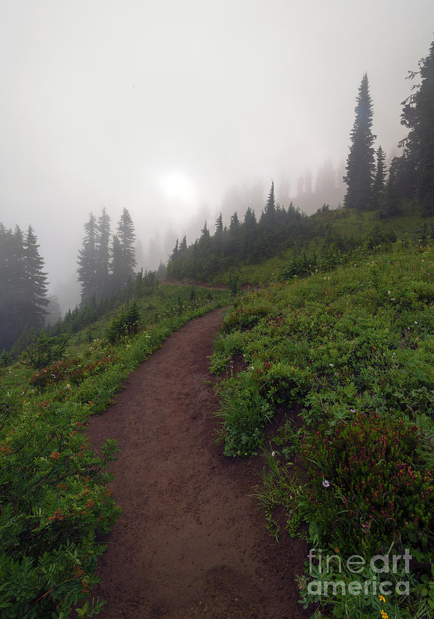 Mountain Photograph - Foggy Crest Trail by Michael Dawson