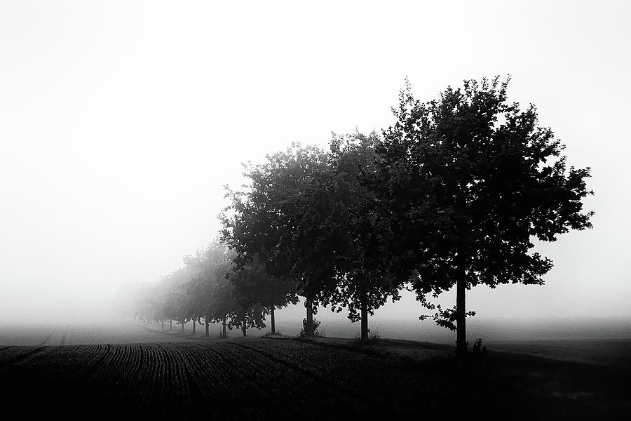 Black And White Photograph - Foggy Day by Oliver Buchmann