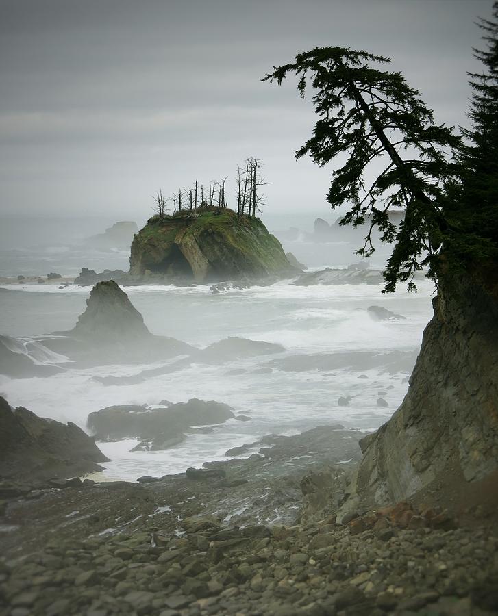 Foggy Day on The Oregon Coast Photograph by Kristal Talbot - Fine Art ...