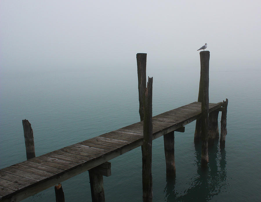 Foggy Dock 15 Photograph by Mary Bedy