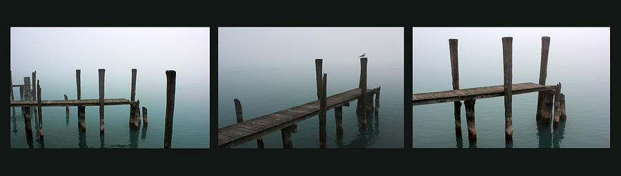 Foggy Dock Collage 1 Photograph by Mary Bedy