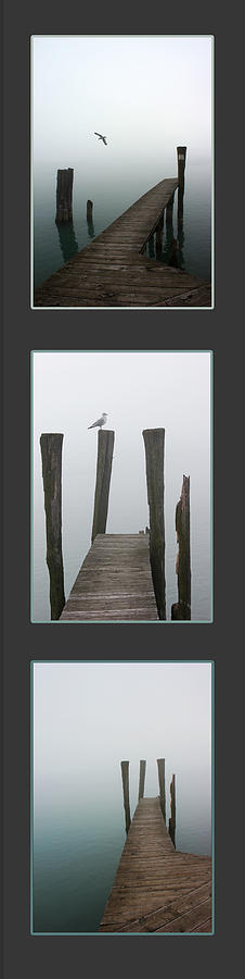Foggy Dock Collage 2 Photograph by Mary Bedy