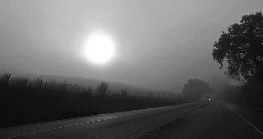 Fog Photograph - Foggy Drive By A Vineyard by Richard Hinds Fog Photograph - Foggy Drive By A Vineyard by Richard Hinds