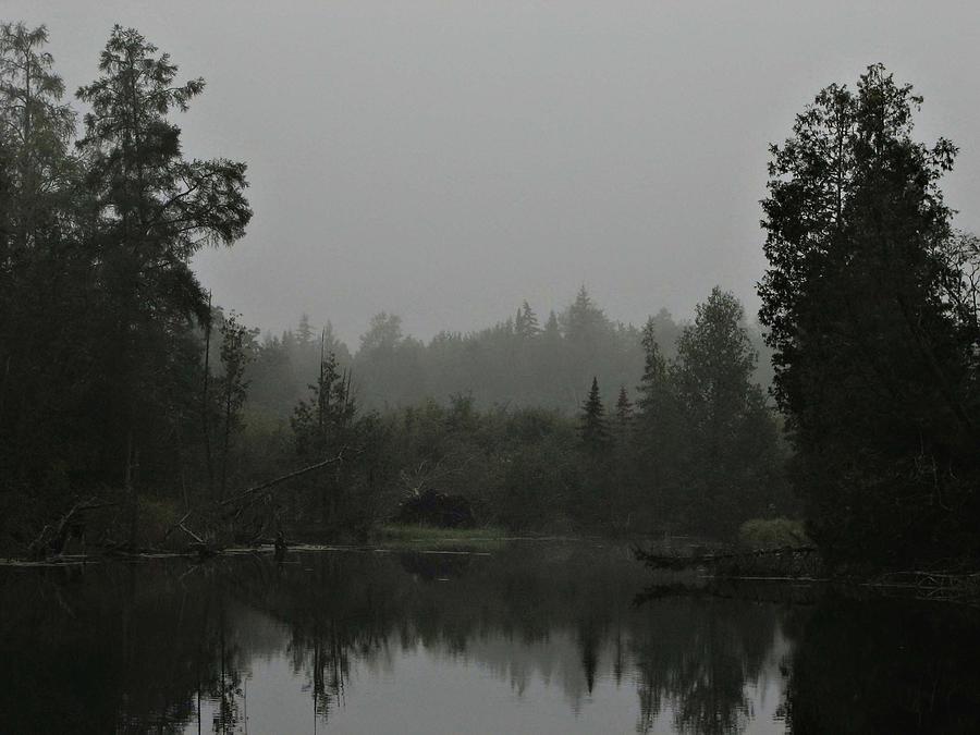 Foggy Duck Pond Photograph by Dale Kauzlaric