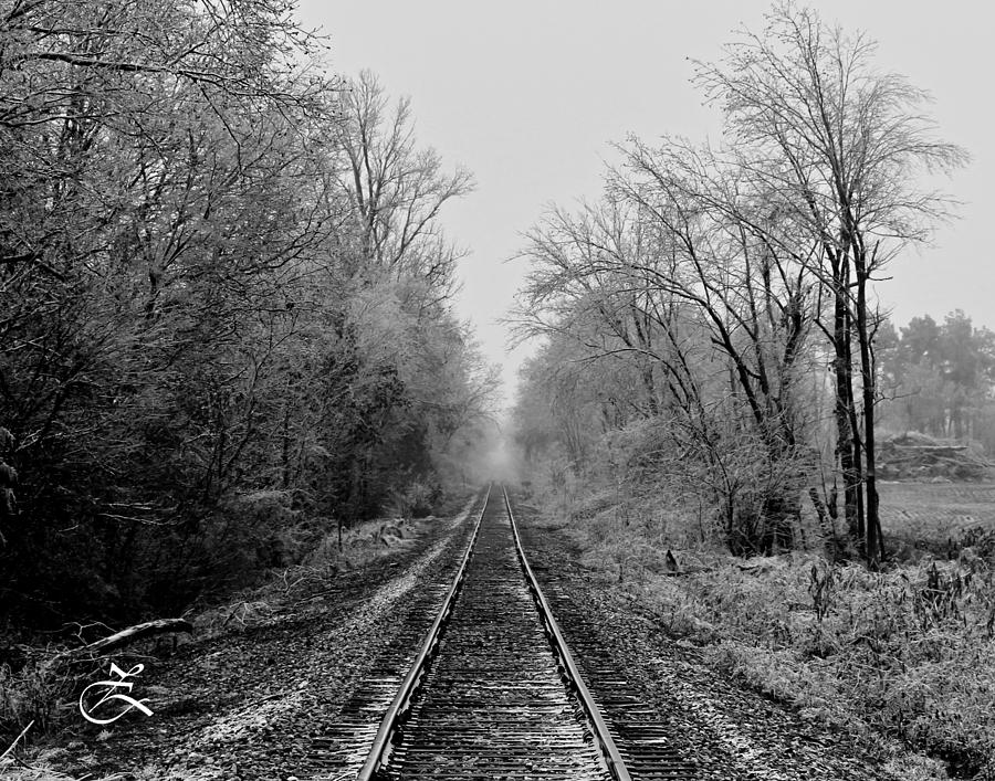 Foggy Ending in Black and White Photograph by David Zarecor