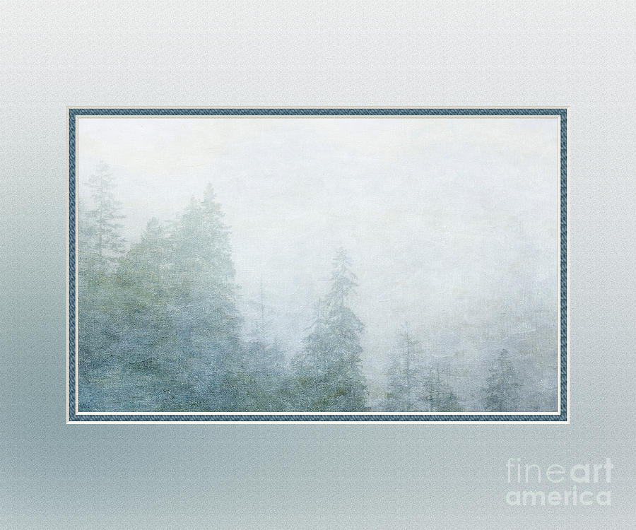 Foggy Evergreens-digital Mat Photograph