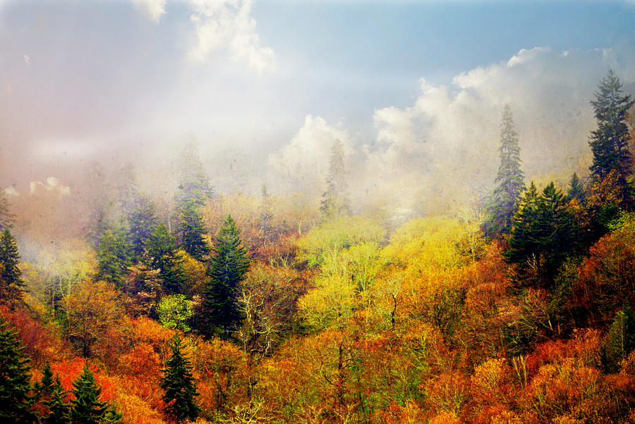 Foggy Fall Photograph by Marty Koch