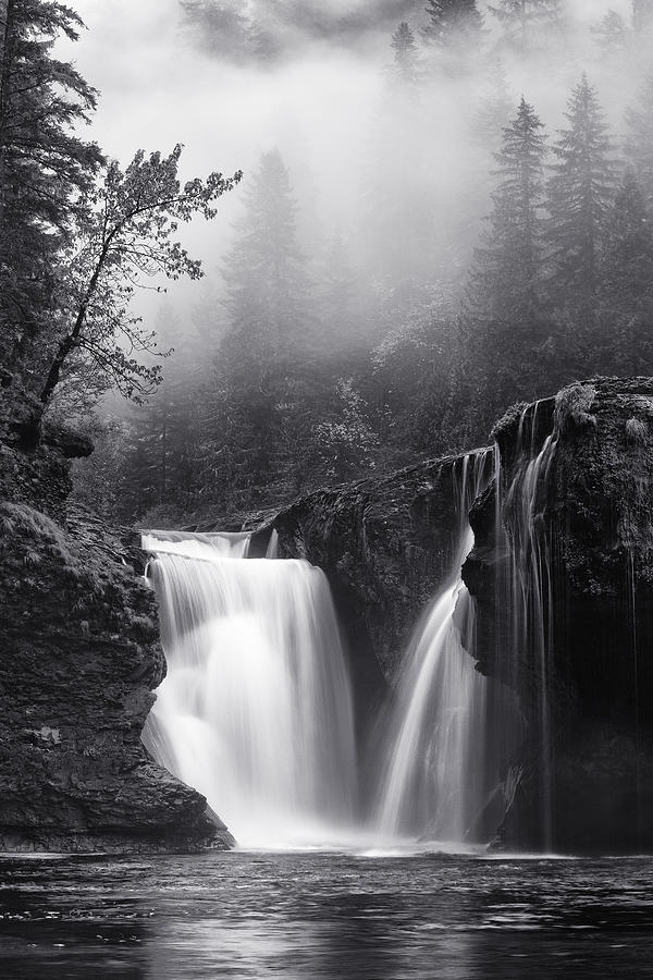 Foggy Falls Photograph by Darren White