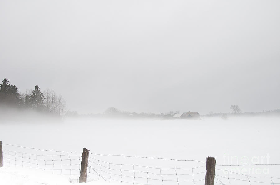 Foggy Farm Photograph by Cheryl Baxter
