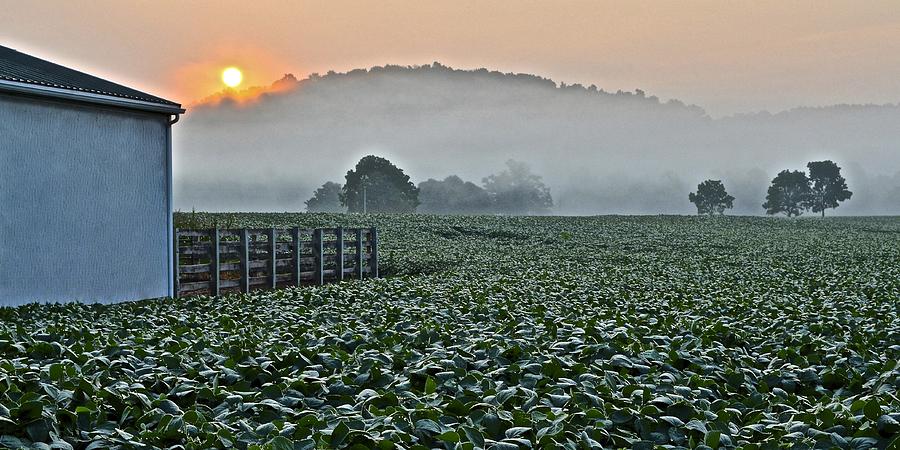Foggy Farm Field Photograph by Frozen in Time Fine Art Photography