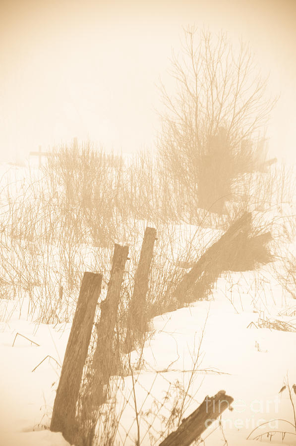 Foggy Fence Photograph by Cheryl Baxter
