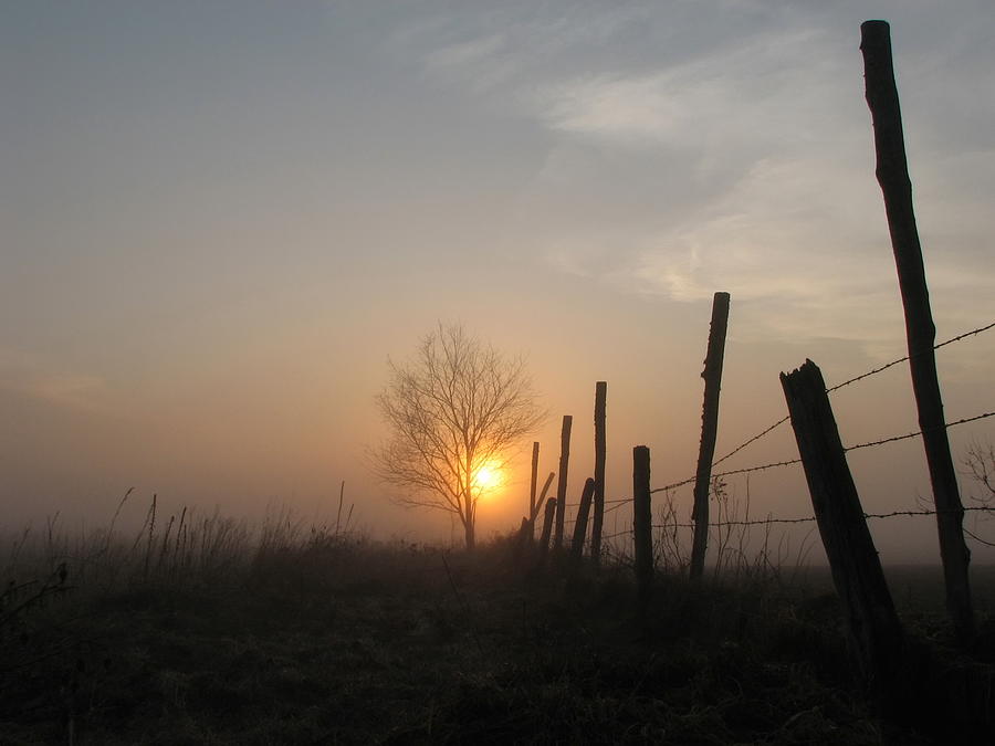 Foggy Fence Photograph by Dale Kauzlaric