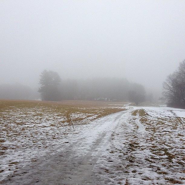 Foggy Field Photograph by Midlyfemama Kosboth