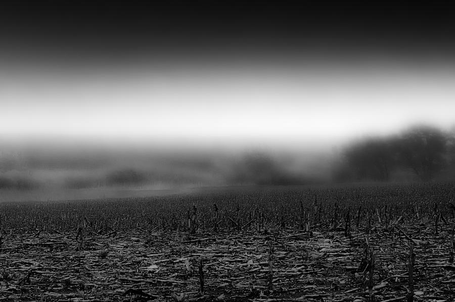 Foggy Field Photograph