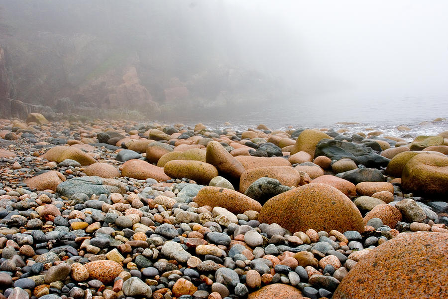 Foggy Frosting on the Rocks Photograph by Brent L Ander