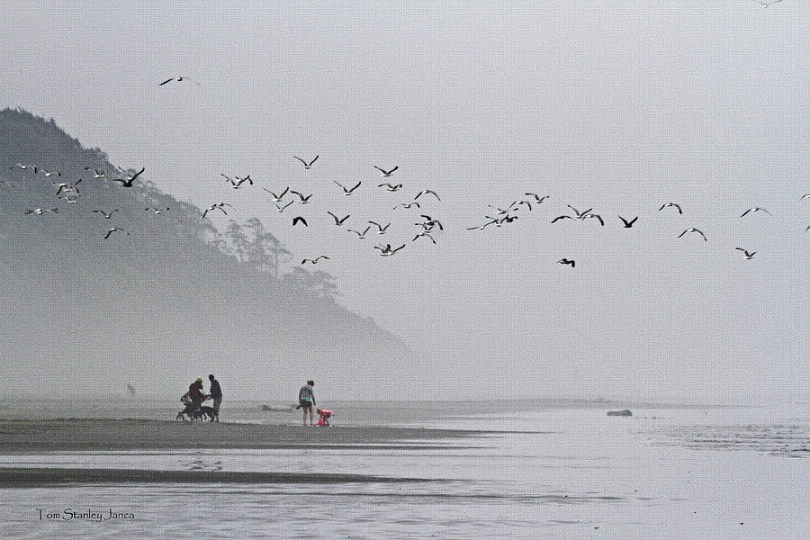 Foggy Fun Day At The Beach Photograph by Tom Janca