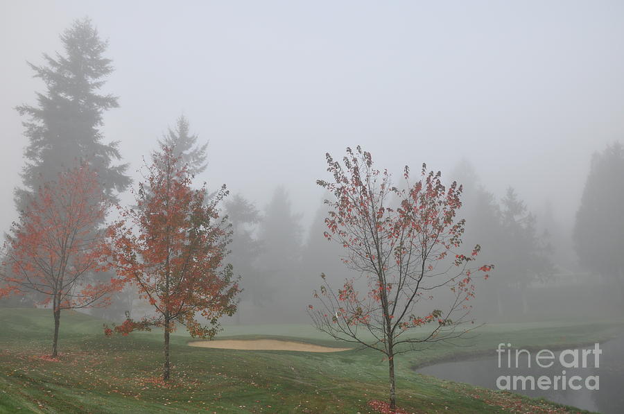 Foggy Golf Course Photograph by Tatyana Searcy