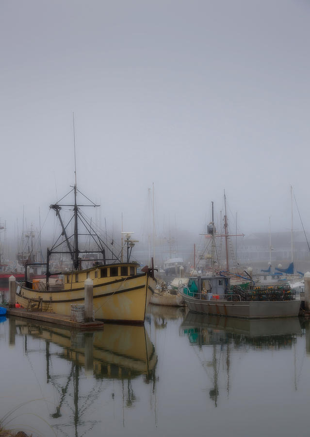 Foggy Harbor Photograph by Mark Alder