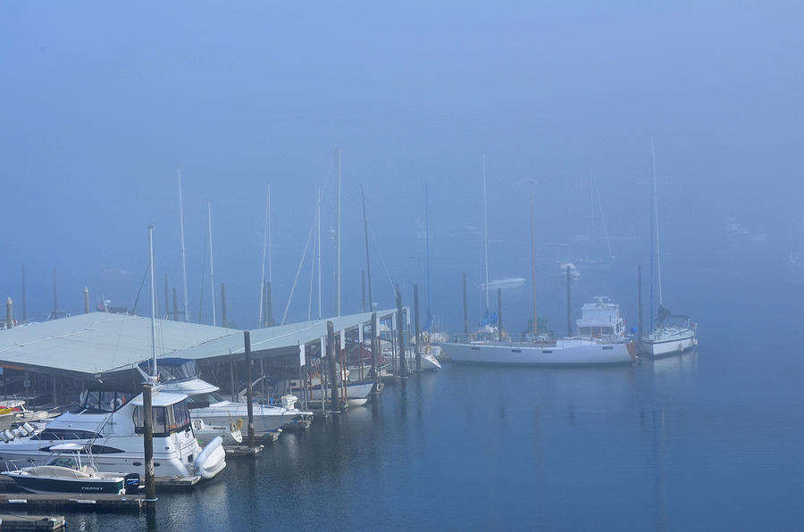 Foggy Harbor Photograph by Tikvahs Hope