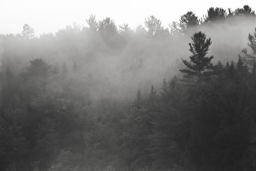 Foggy hillside - Norway - Maine Photograph by Steven Ralser