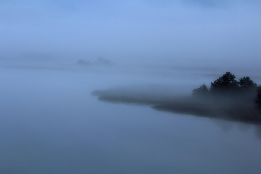 Tree Photograph - Foggy Island by Pete Dionne