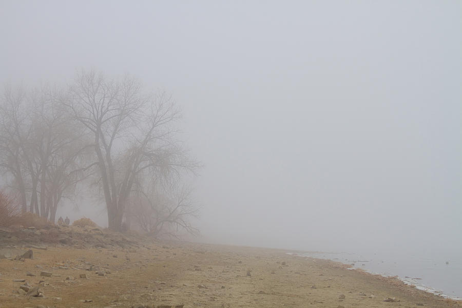 Foggy Lake Shoreline View Photograph by James BO Insogna Foggy Lake Shoreline View Photograph by James BO Insogna