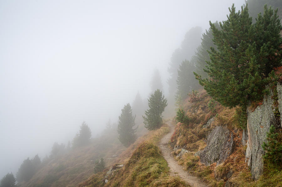 Foggy landscape in Valais Switzerland Photograph by Matthias Hauser