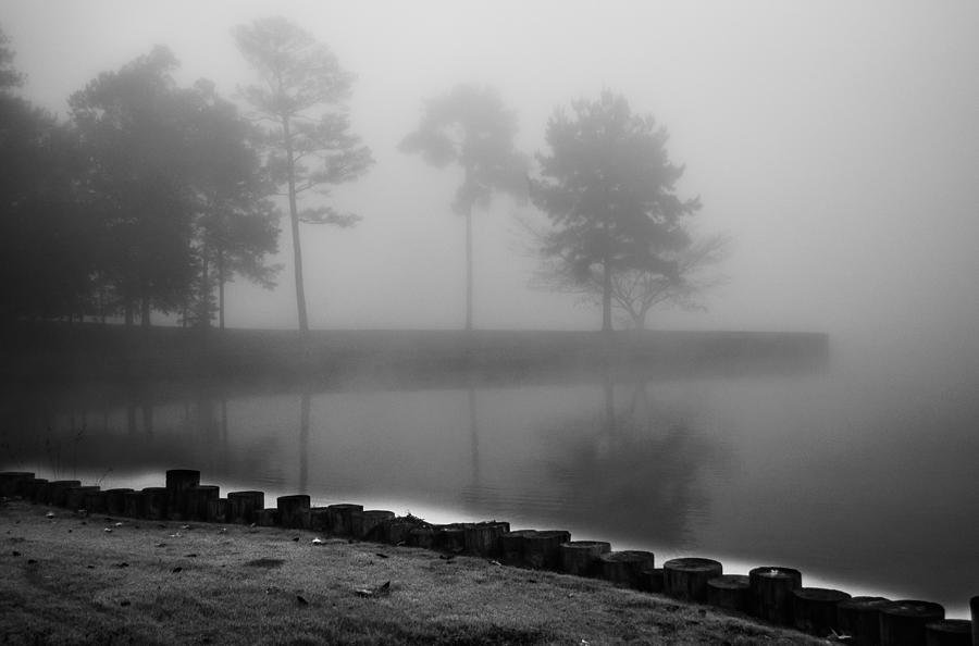 Black And White Photograph - Foggy Landscape by Parker Cunningham