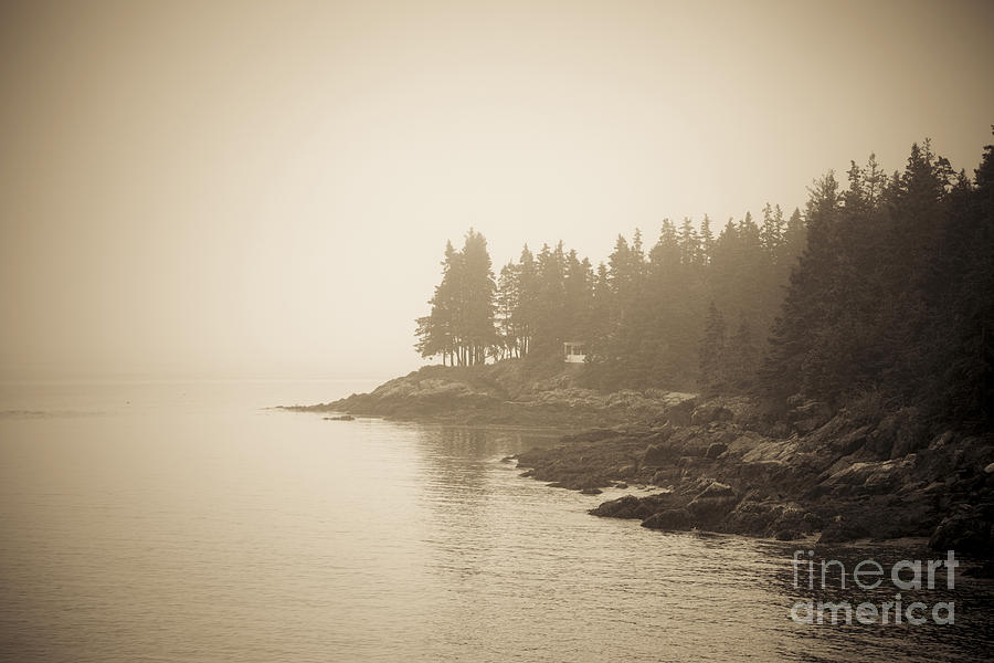 Foggy Maine Coast Photograph by Diane Diederich