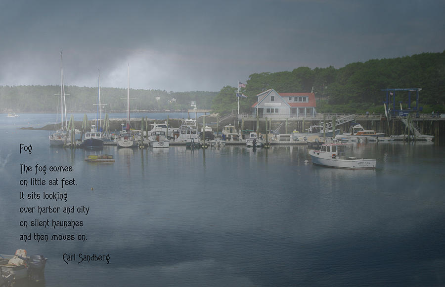 Foggy Coast Of Maine Photograph by Gary Benson
