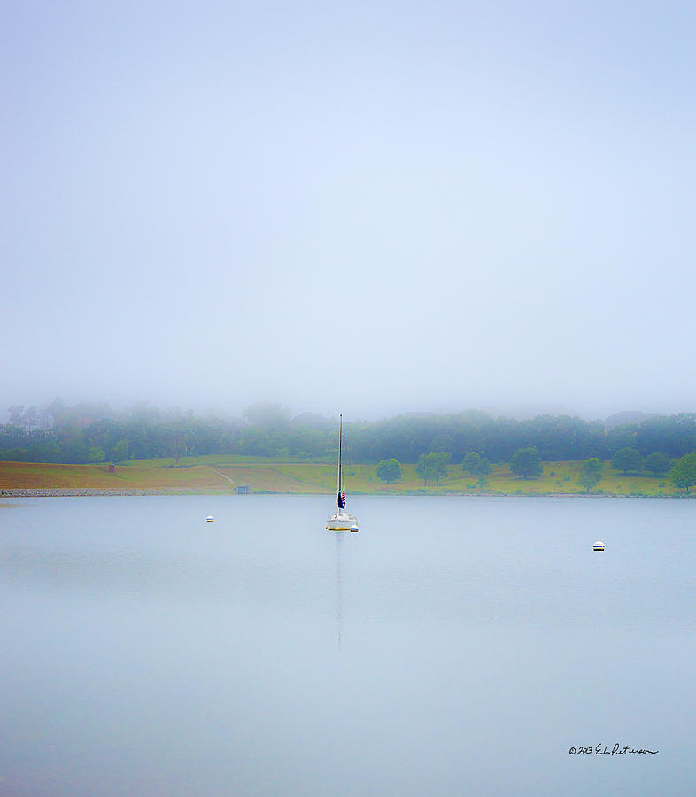 Foggy Mooring Photograph by Ed Peterson
