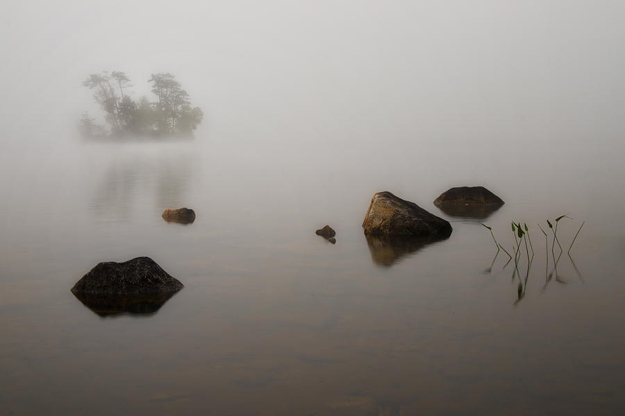 Foggy Morn Photograph by Darylann Leonard Photography