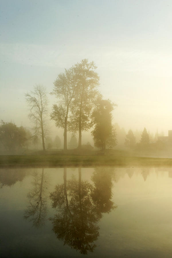 Foggy Morning Photograph by Alexander Fedin