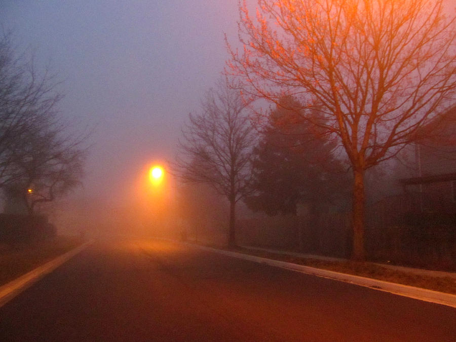 Foggy Morning Photograph by Alfred Ng
