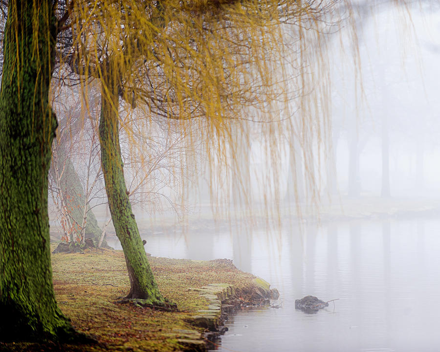 Foggy Morning At Argyle Lake Photograph by Vicki Jauron, Babylon And Beyond Photography
