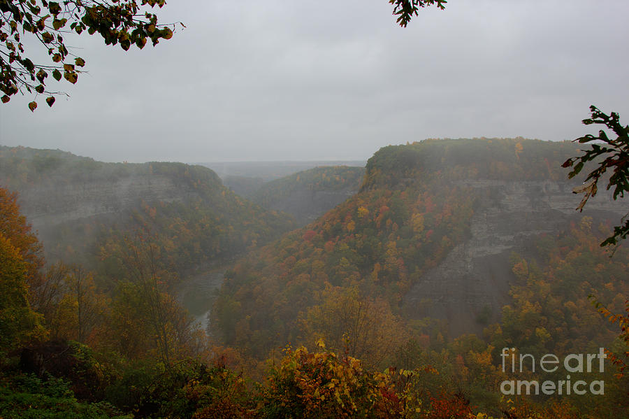 Foggy Morning at Letchworth Photograph by Brad Marzolf Photography
