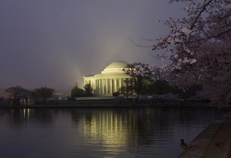 Foggy Morning at the Jefferson Memorial 1 Photograph by Leah Palmer