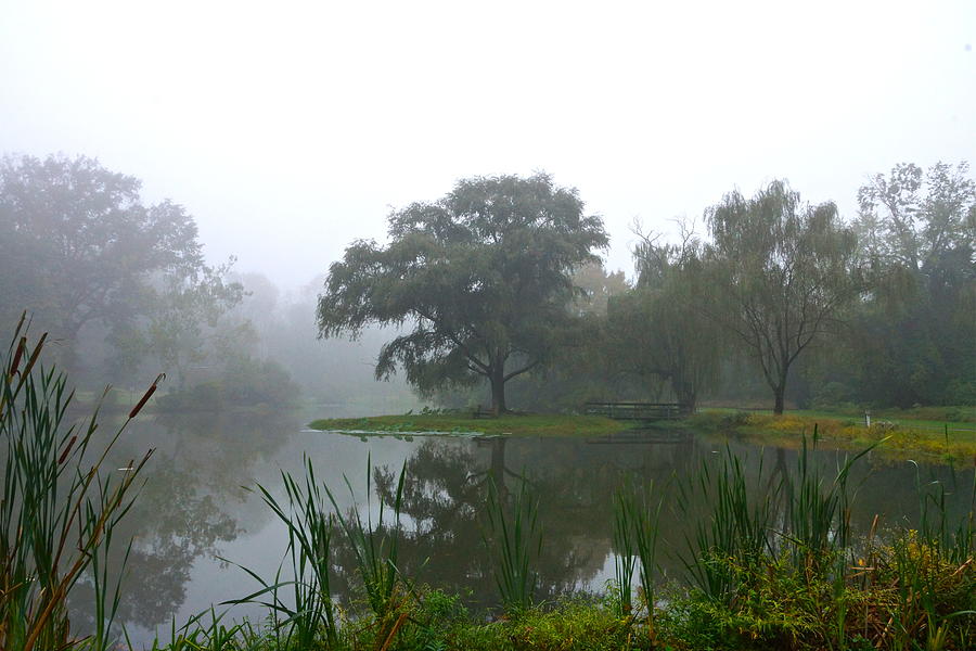Foggy Morning At The Willows Photograph by Byron Varvarigos