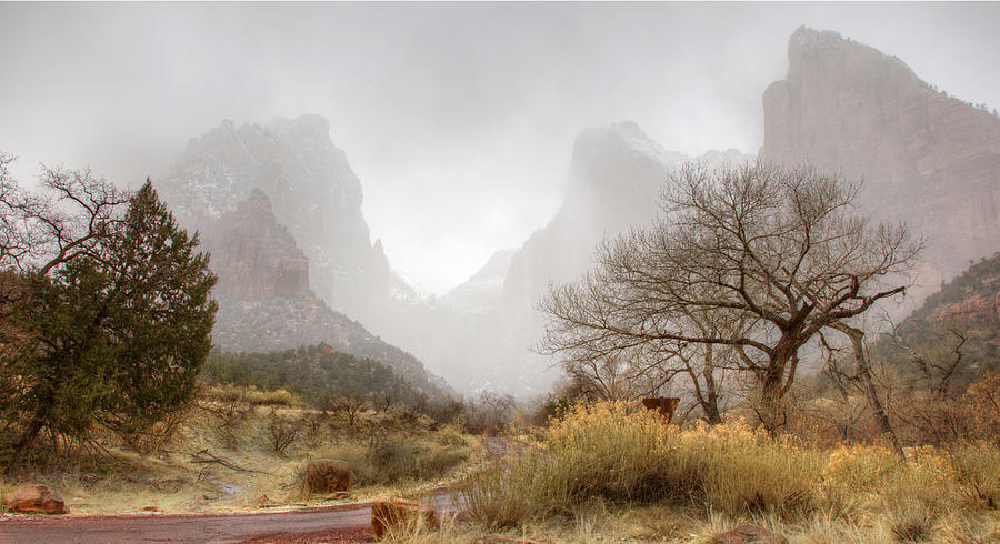 Foggy Morning at Zion Photograph by Wendell Thompson