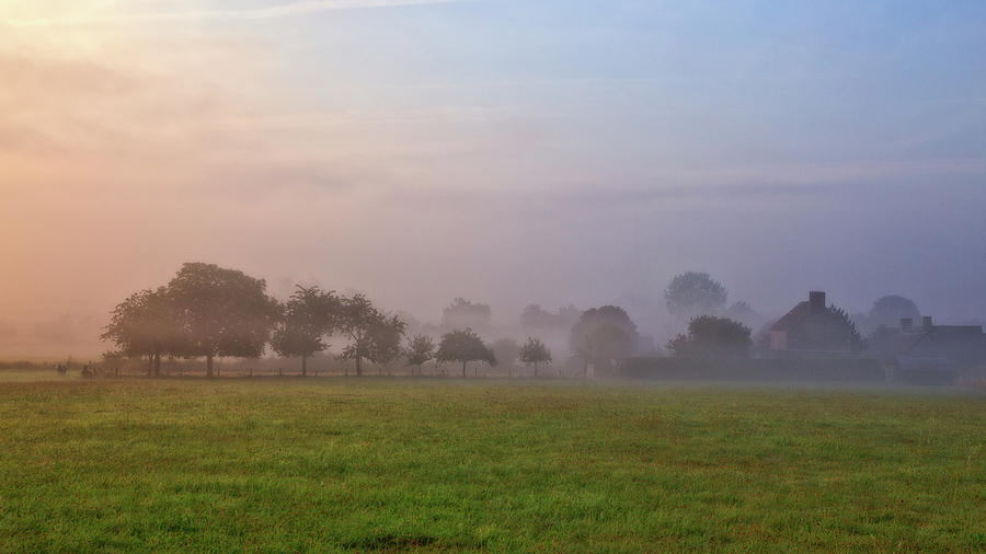 Foggy Morning Photograph by Bettina Lichtenberg