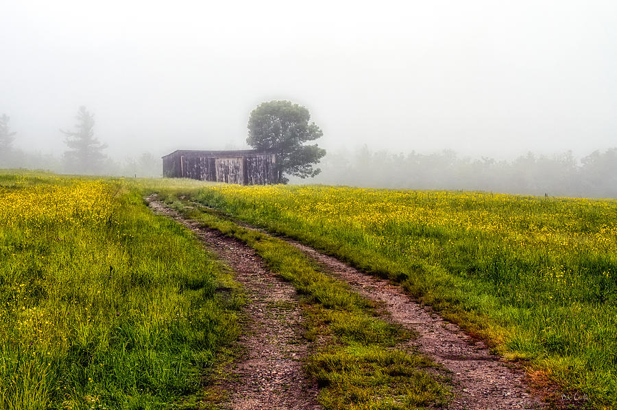 Inspirational Photograph - Foggy Morning by Bob Orsillo