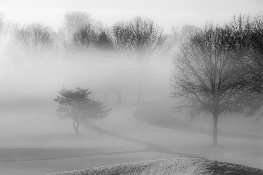 Foggy Morning Photograph by Carol Erikson