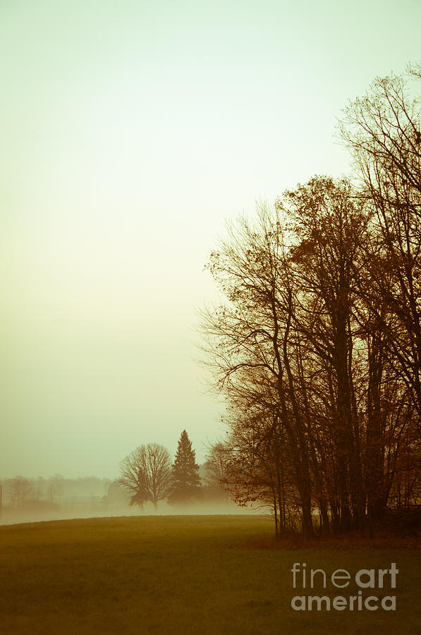 Foggy Morning Photograph by Cheryl Baxter