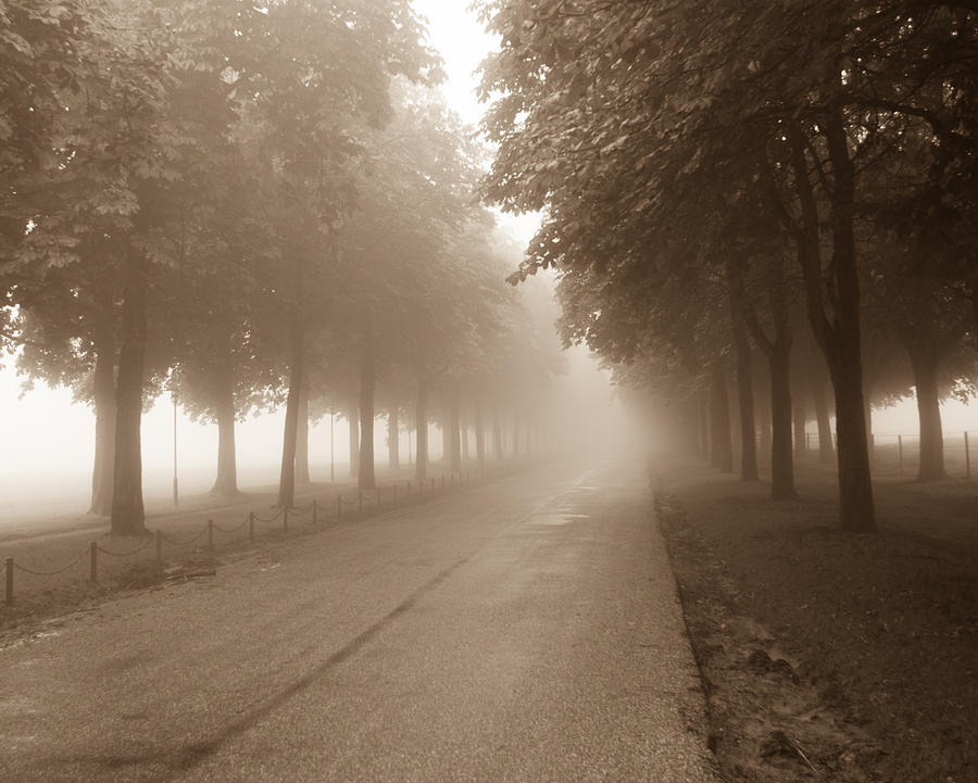 Foggy Morning Commute Photograph by Miguel Winterpacht